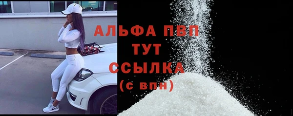 шишки Беломорск