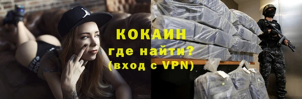 стафф Ростов