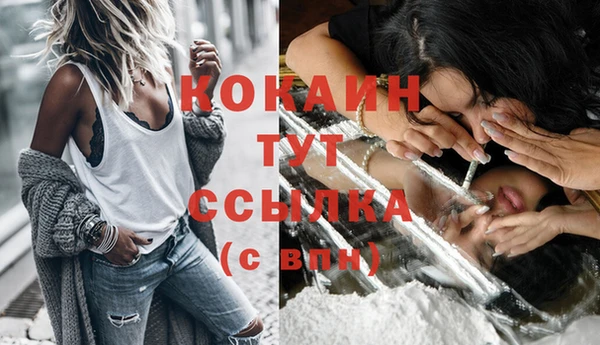 стафф Ростов