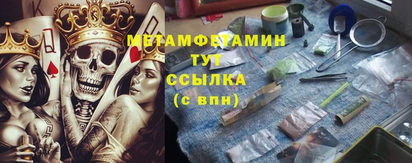 шишки Беломорск