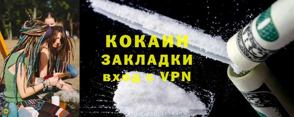шишки Беломорск