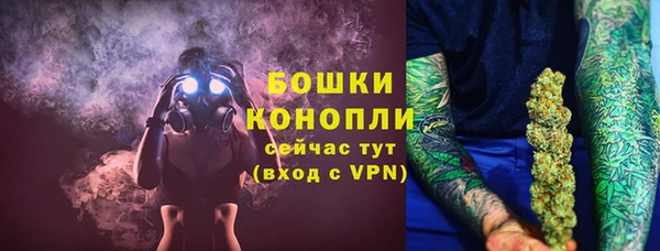 шишки Беломорск