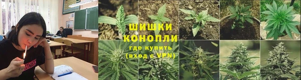 шишки Беломорск