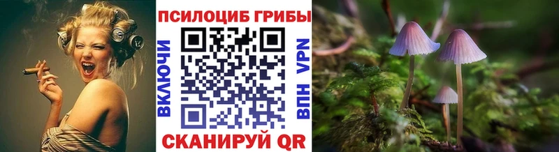 Псилоцибиновые грибы Psilocybine cubensis  сколько стоит  Красный Холм 